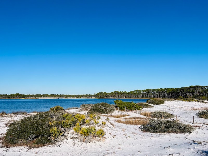 Grayton Beach State Park